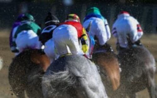 Guyana approves new horse racing authority to regulate sport