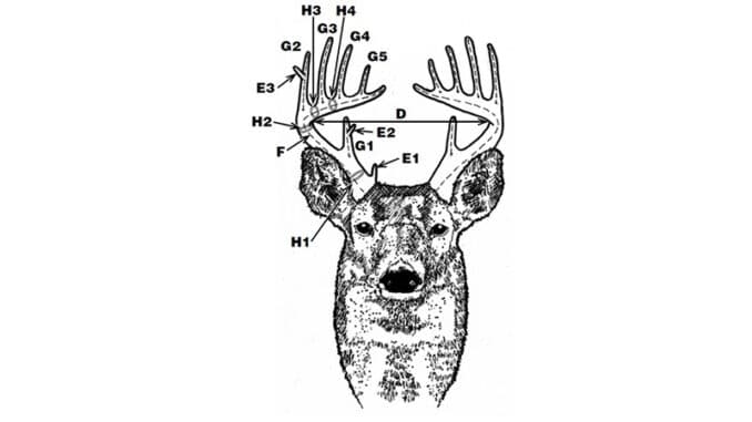 Related photo
