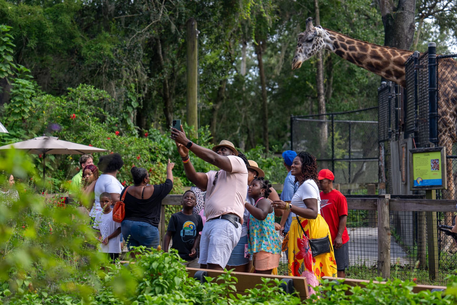Central Florida Zoo brings back affordable Sunset at the Zoo series