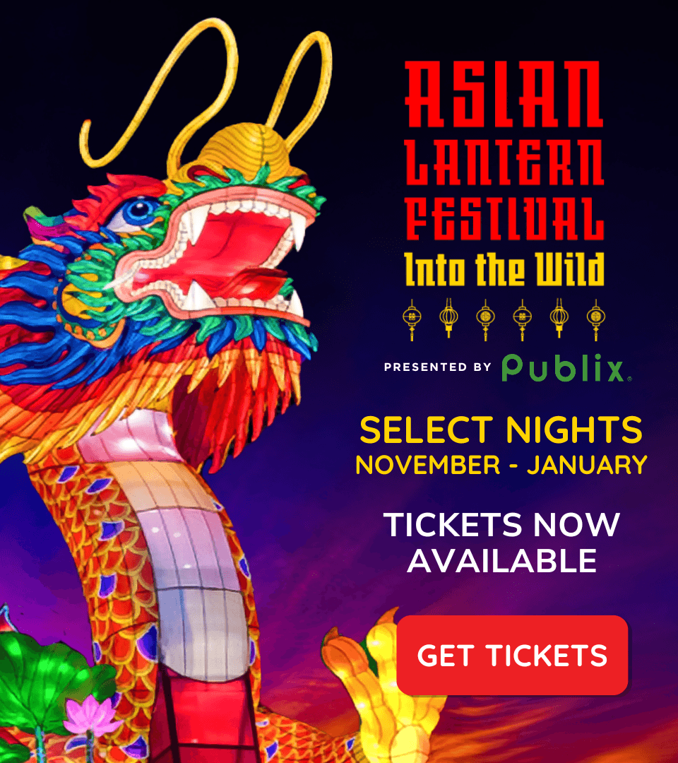 Central Florida Zoo draws visitors with year round exhibits and lantern festival