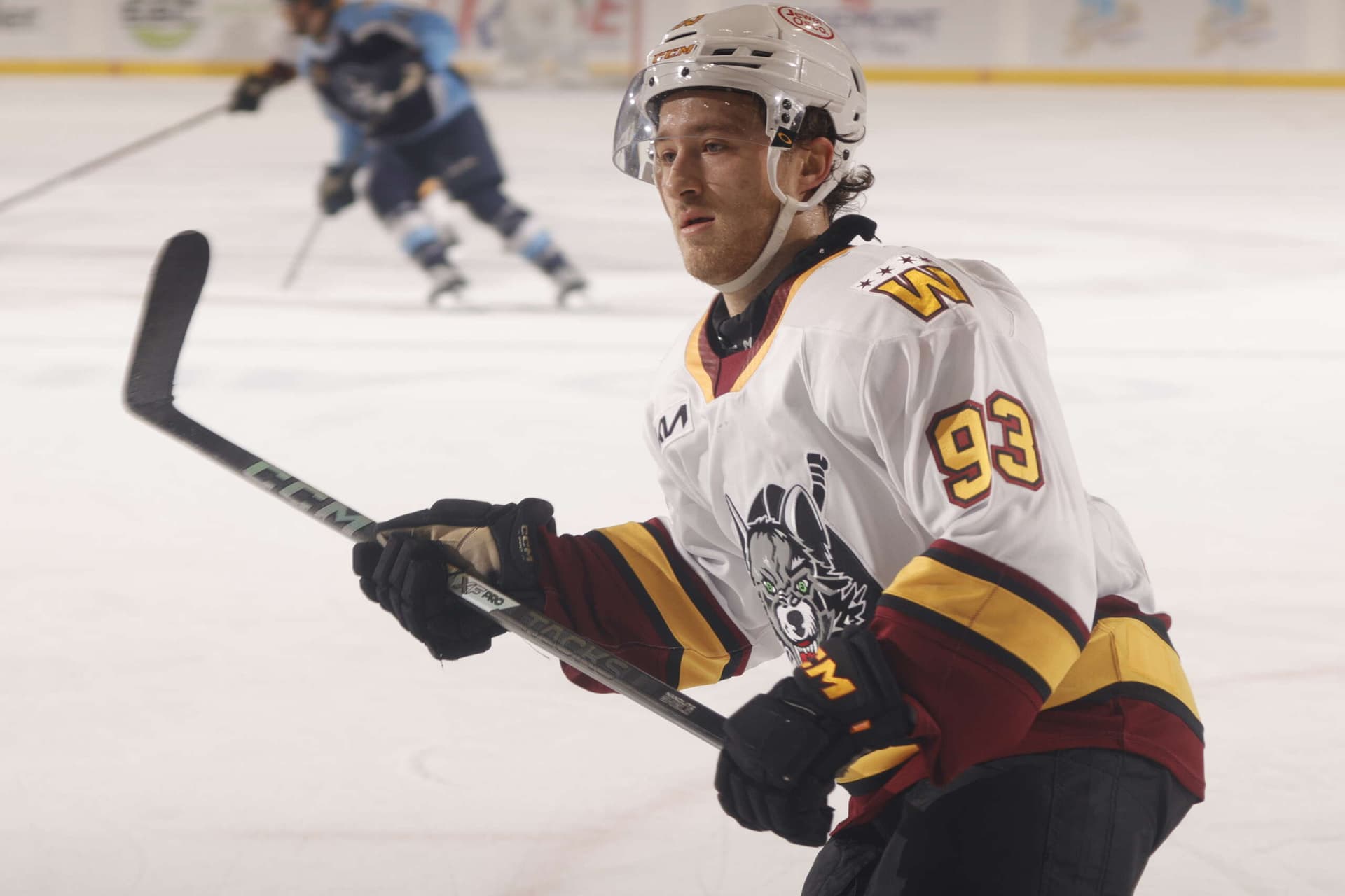 Robidas' Two-Way Dominance Sparks Wolves; Suzuki-Nadeau Line Shines, Neuchev Added