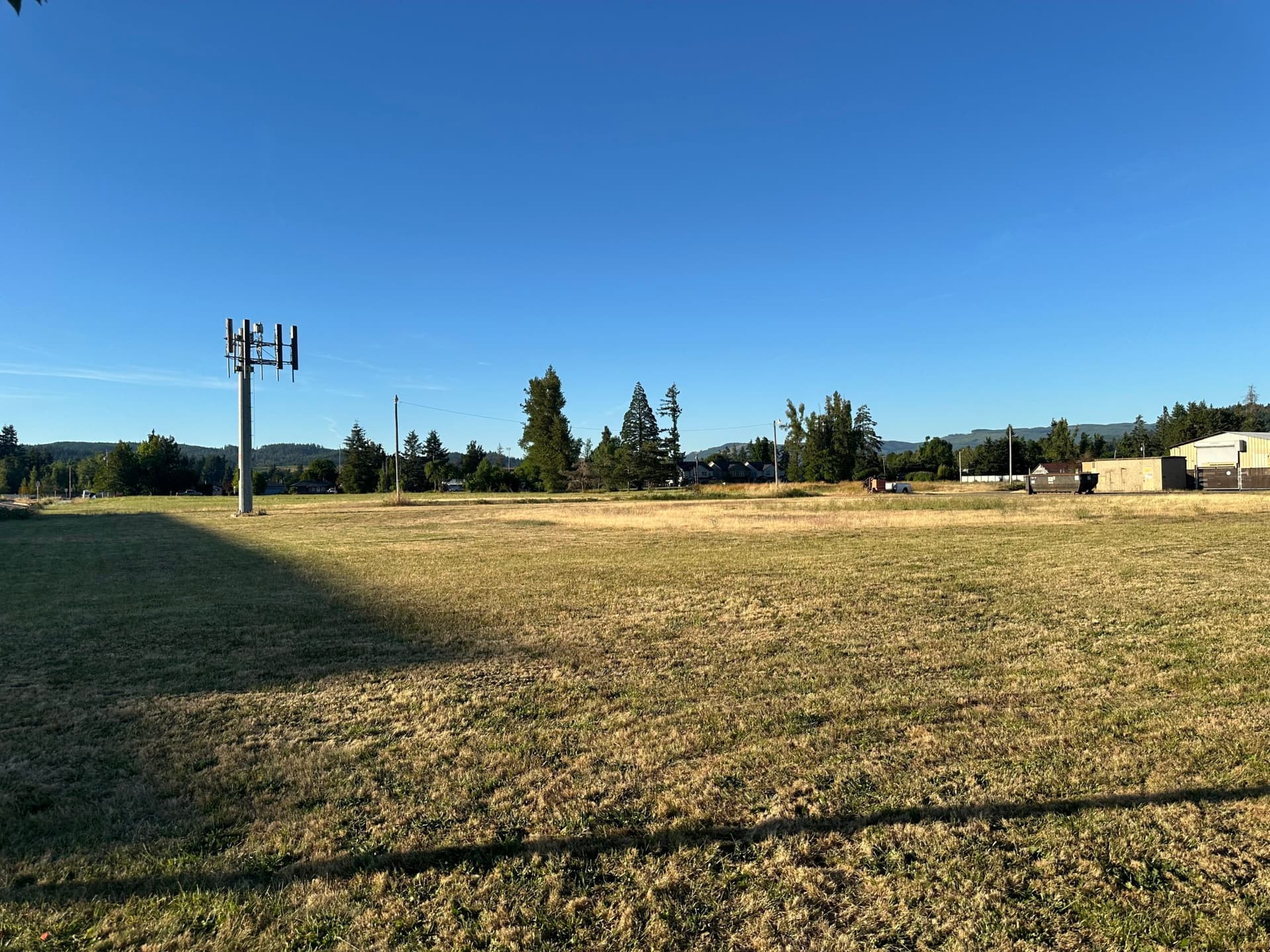 Cottage Grove residents push back on proposed 100-foot cell tower