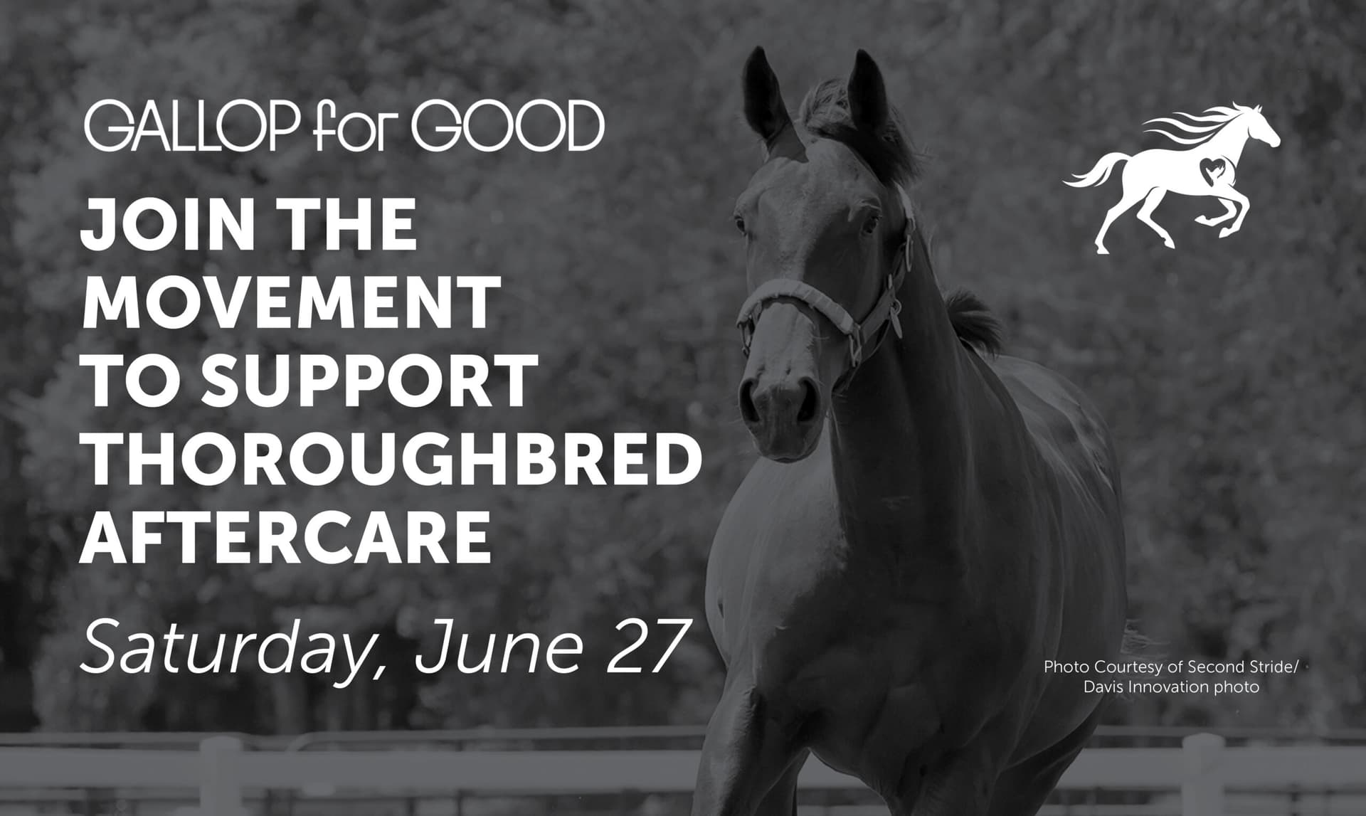 Churchill Downs launches Gallop for Good to fund Thoroughbred aftercare