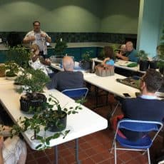 Cleveland Bonsai Club Schedules March Meeting and Spring Repotting Workshop