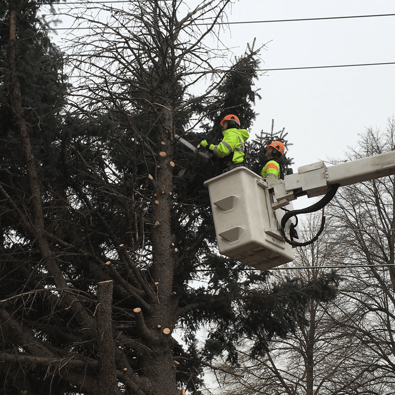 CDOT Accelerates Roadside Vegetation Work Ahead of High Wildfire Season