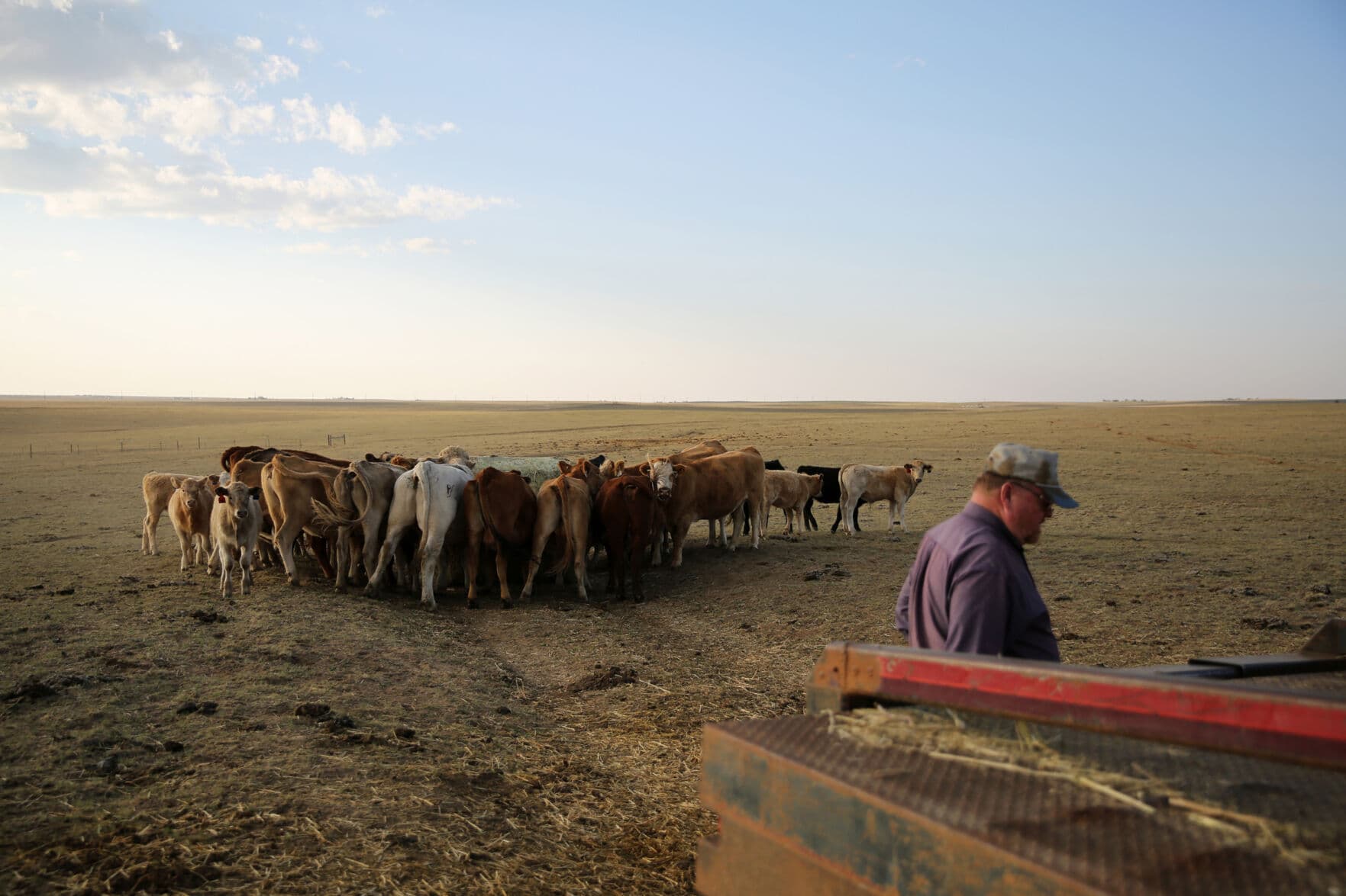 Logan County CattleWomen Host Sen. Kirkmeyer, Celebrate Beef Industry