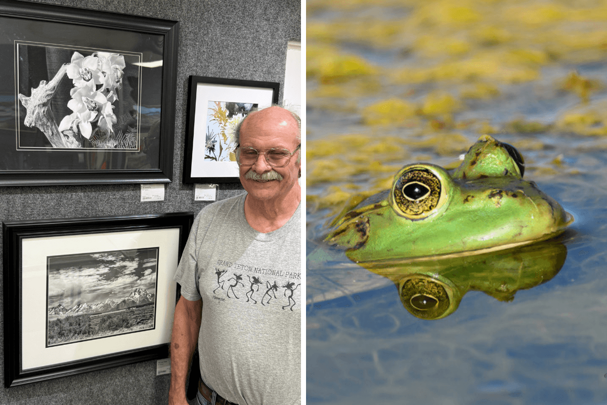 Redlands gallery hosts Art Majerus final woodturning sale and photos