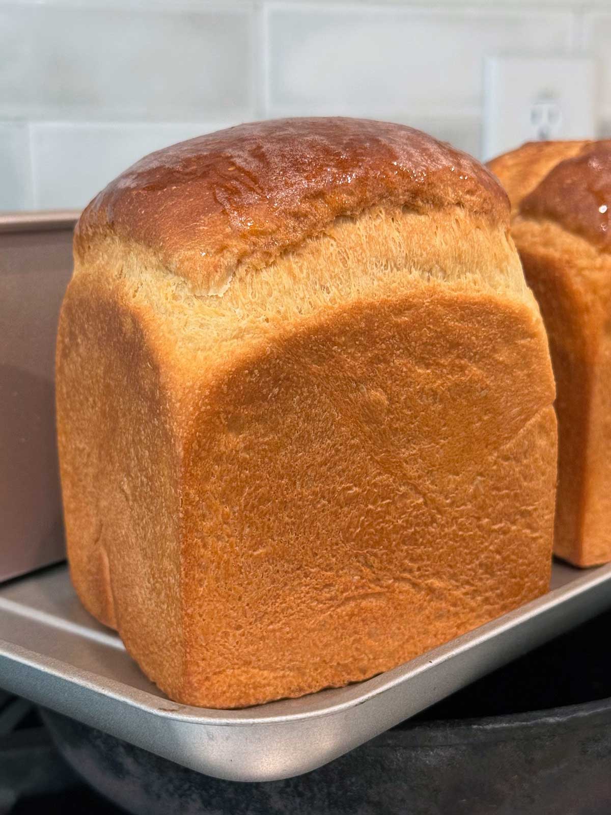Soft Sourdough Discard Sandwich Bread, A Sturdy Loaf for Everyday Use