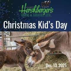 Children Celebrate Donkeys and Holiday Traditions at Local Farm