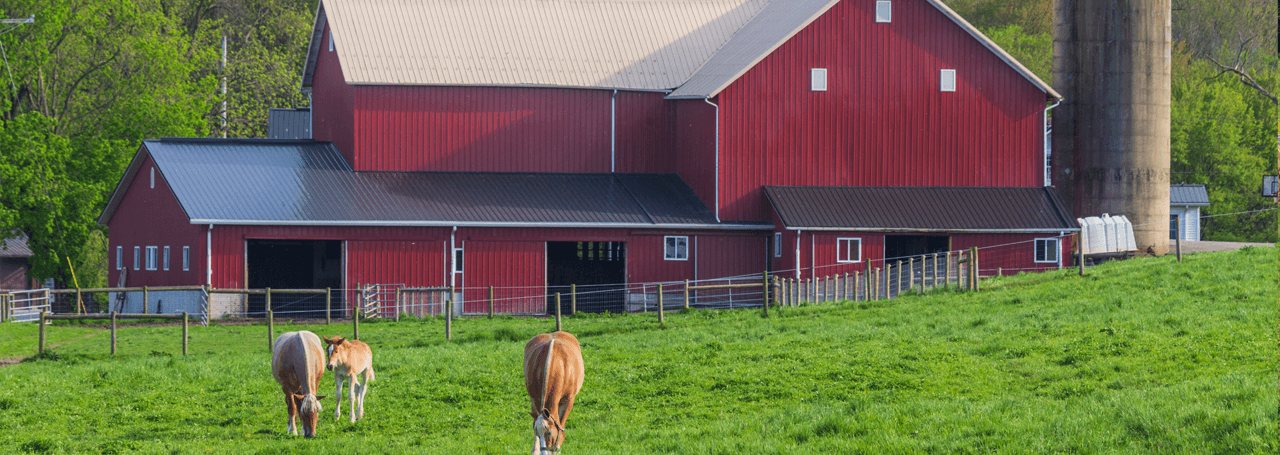 Discover Holmes County Ohio links attractions, dining and lodging