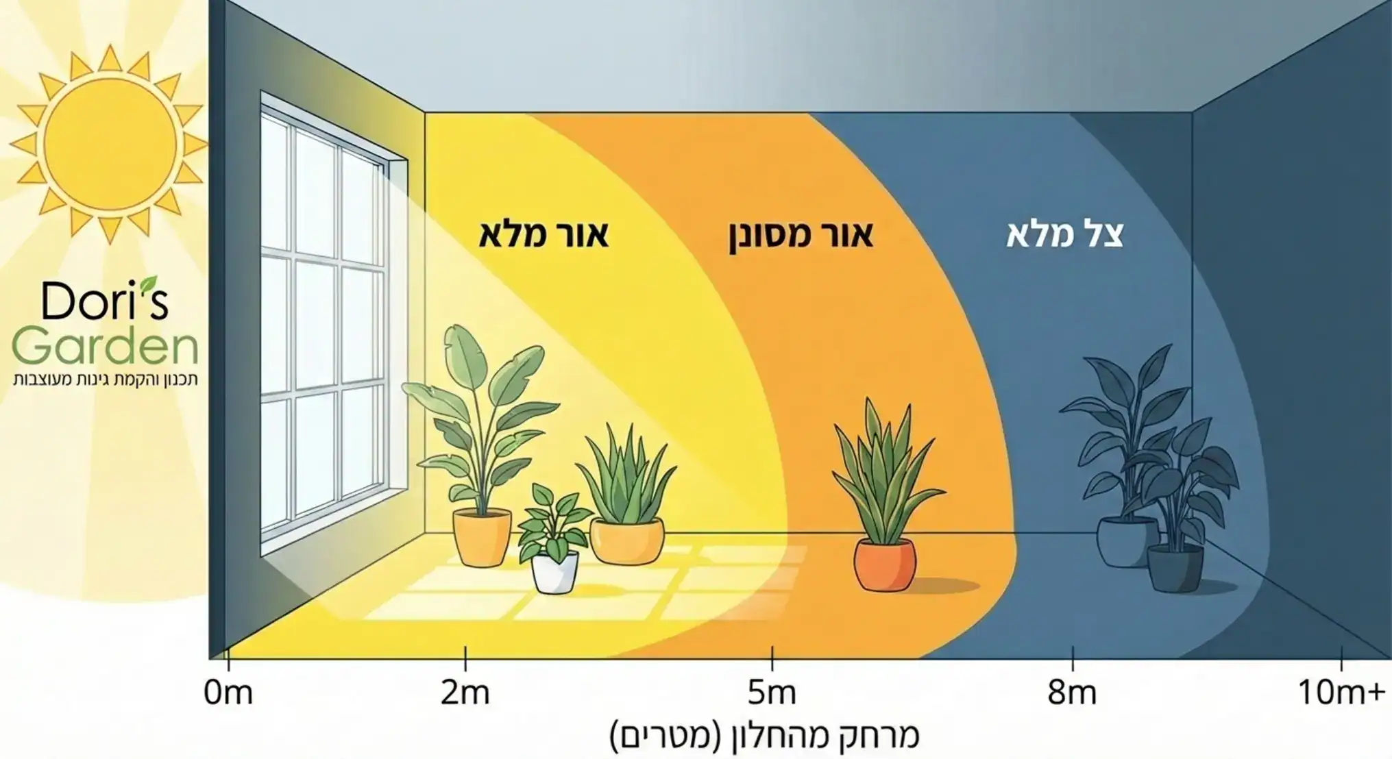 4 צמחים לפינות חשוכות: המדריך המעשי לאור נמוך בבית