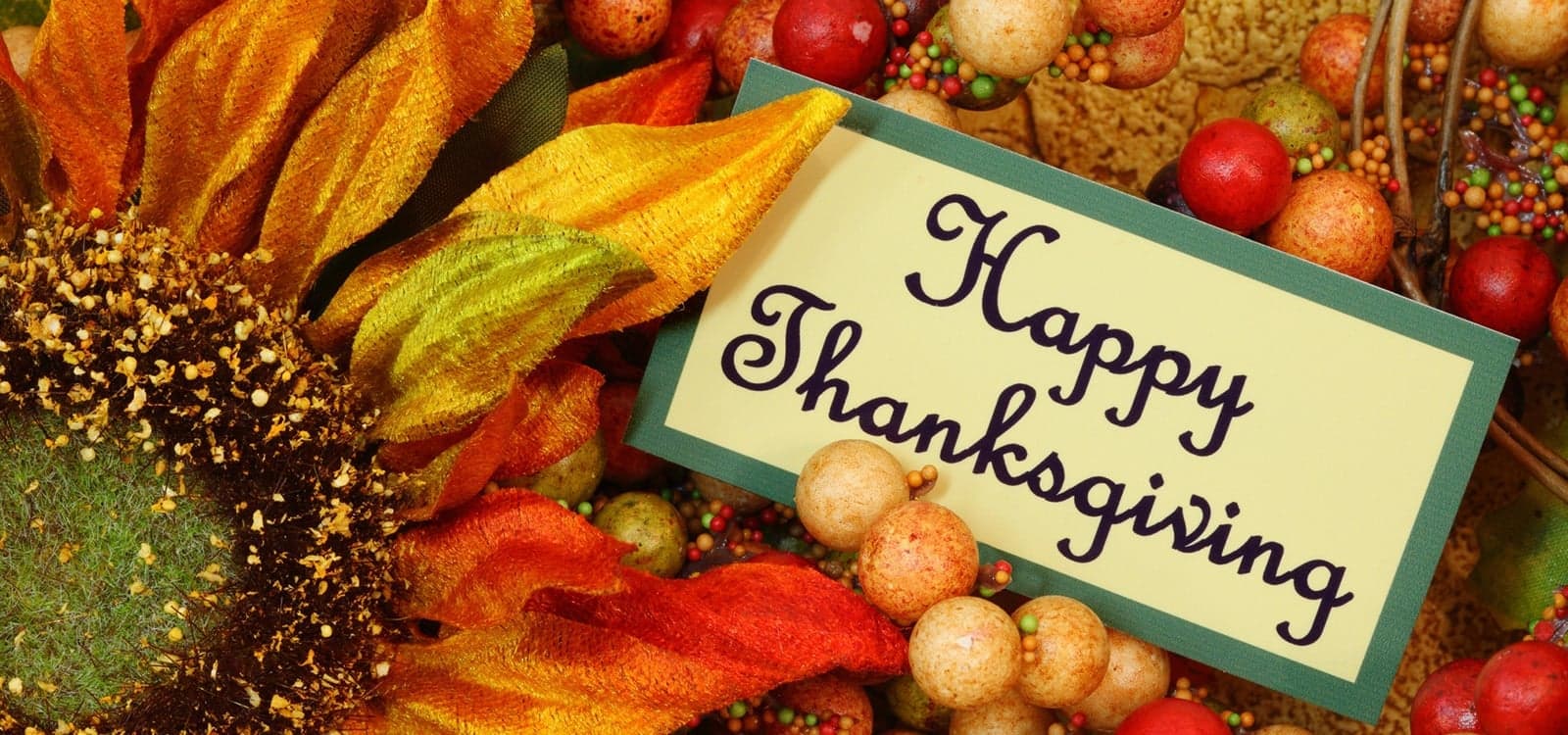 Douglas County Offices Closed Thanksgiving, Services Remain Available Online