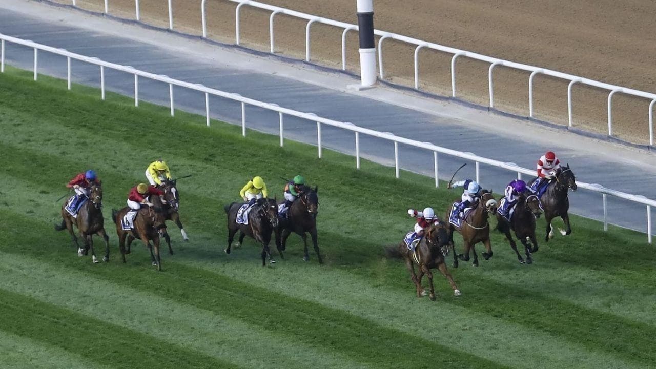 Reef Runner to Stay in Middle East, Trainer Eyes Dubai's Al Quoz