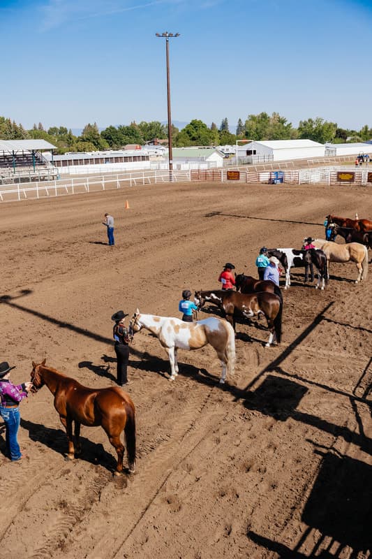 Eastern Oregon Livestock Show youth auction raises over $775,000