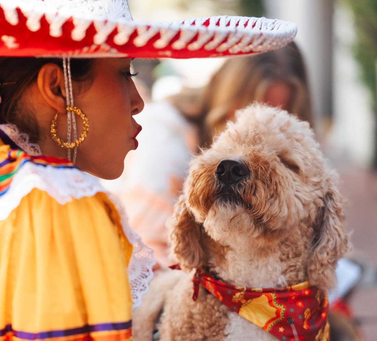 Santa Barbara Fiesta adds first-ever dog parade, costume contest
