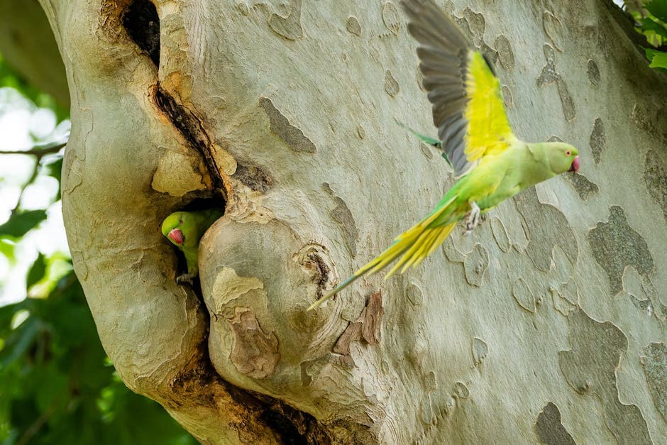Kākāpō Cam Draws 100,000 Global Viewers Watching Rare Parrot Nurture Her Chick