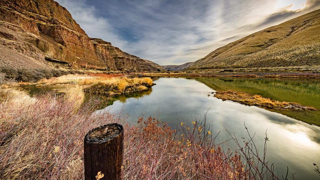REV Center invites Eastern Oregon teachers to Cottonwood Canyon institute