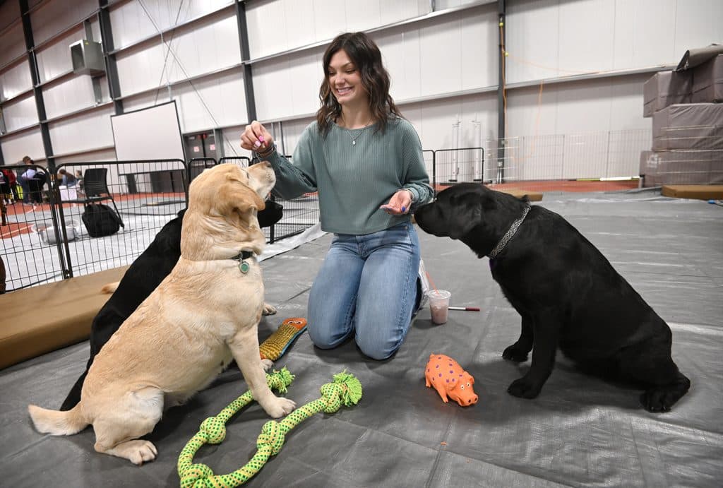 EOU Students Find Midterm Relief With Puppies, Piglets, and Miniature Horses