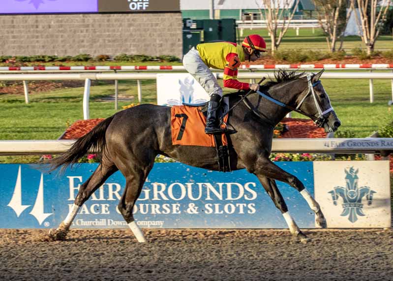 Built Shatters Fair Grounds Six-Furlong Record in Stunning Return