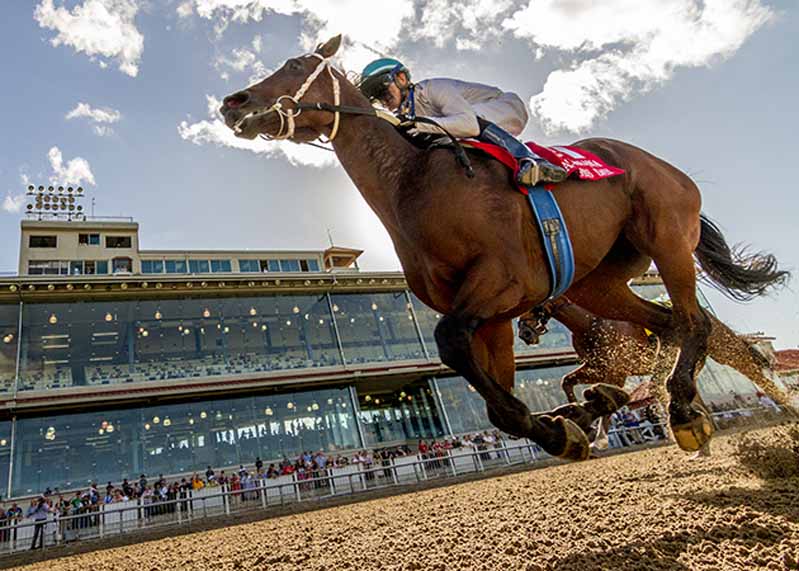 Guaguarero Wins, Then Dies: Did Fair Grounds System Fail the Horse?