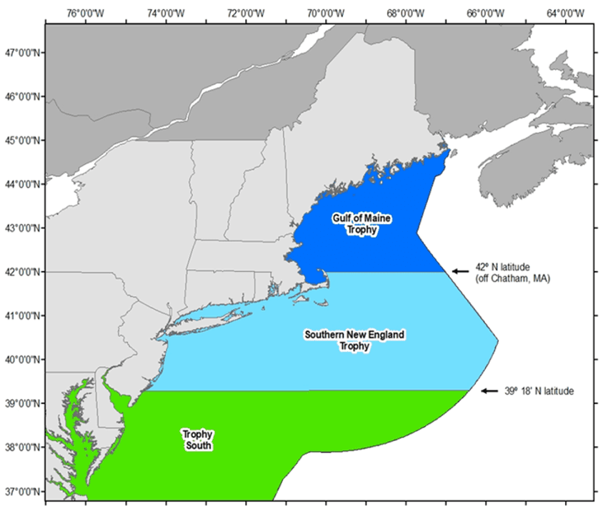 Southern New England bluefin trophy closure begins July 3, 2026