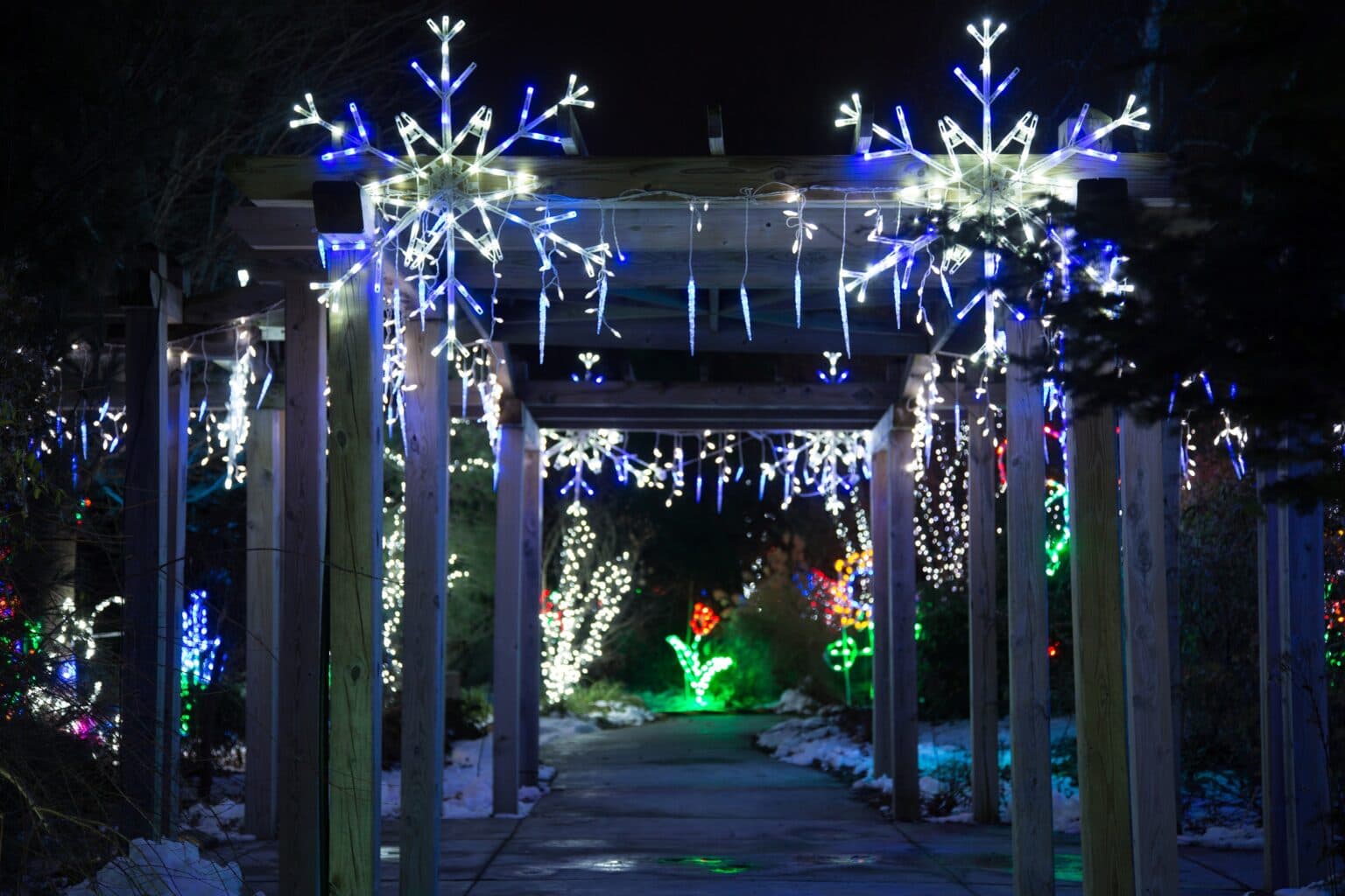 Holiday Lights in Bloom Draws Families and Boosts Winter Tourism