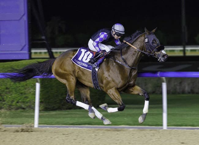 Walk Of Stars Favored in Meydan Al Maktoum Challenge Preview