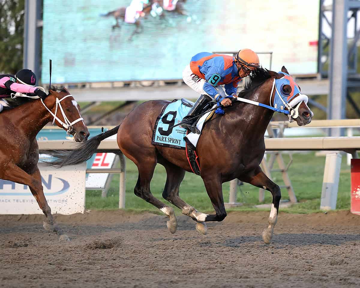 Buccherino Earns Parx Racing 2025 Horse of the Year After Stakes Dominance