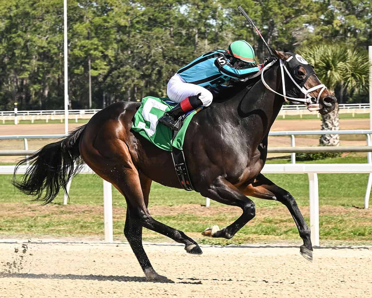 Uncashed Carries Rivelli to Gate-to-Wire Victory in $100,000 Tampa Sprint