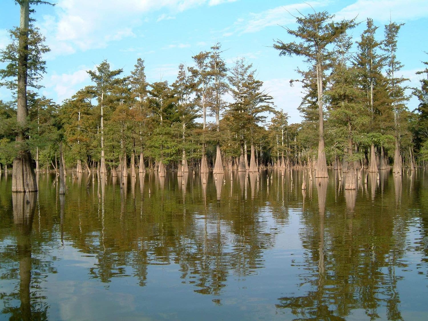 Dale Bumpers refuge defines Phillips County as a wildlife stronghold