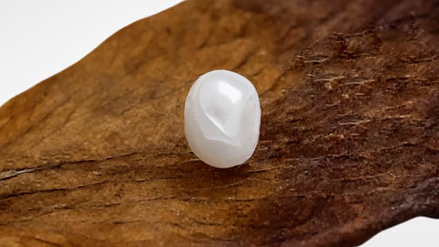 GIA reveals how labs spot real pearls and imitations