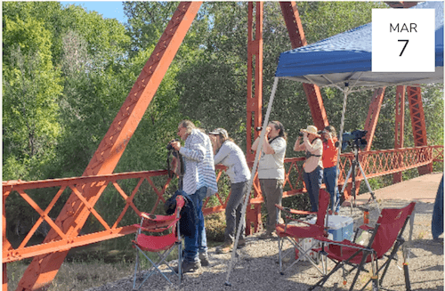 Regional Birders Invite Public to Big Sit March 7 at Iron Bridge