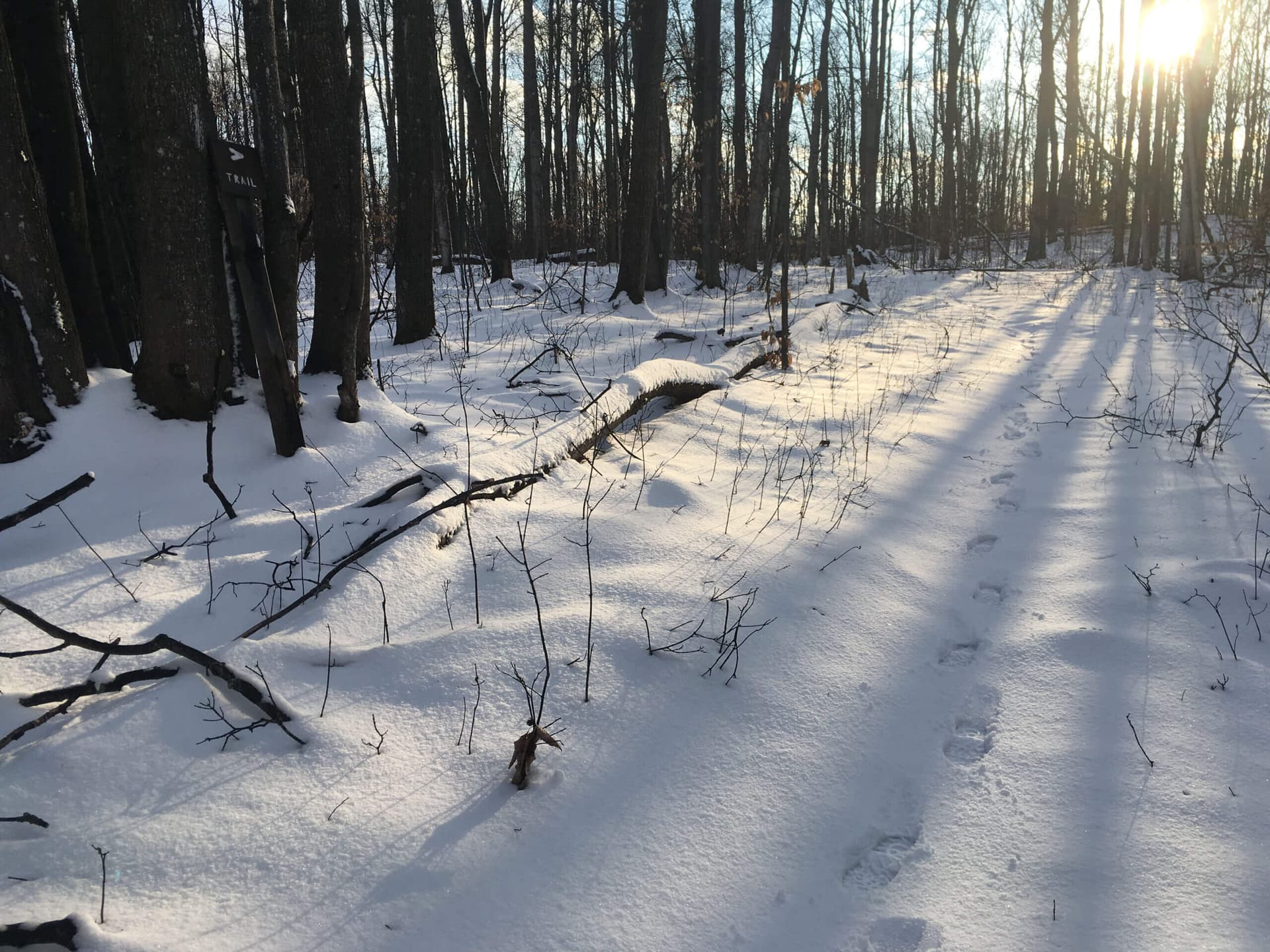 County parks reopen, local trails offer winter recreation and safety guidance