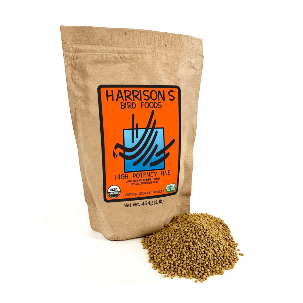 Harrison’s Bird Foods warns seed-based diets fuel fatty liver in parrots