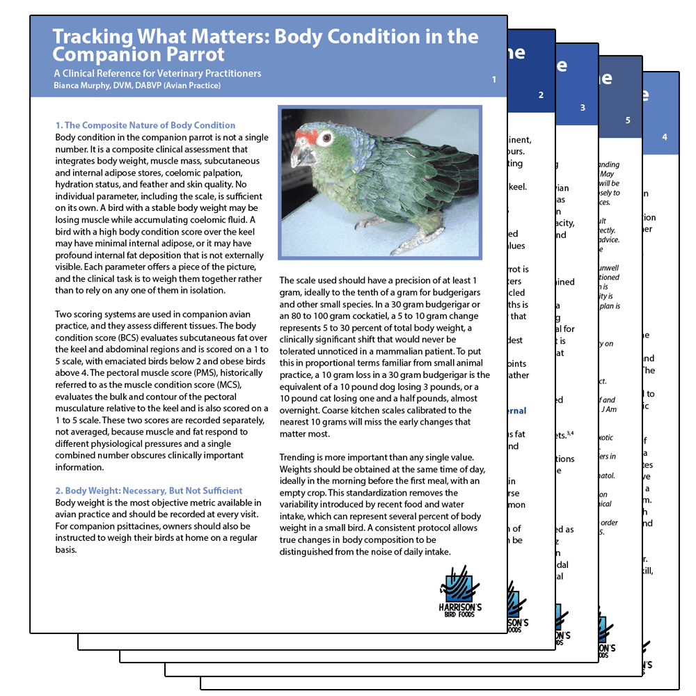 Harrison’s Bird Foods guide says parrot care is a whole-bird discipline
