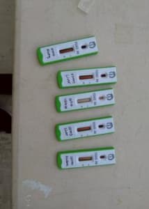 Portable field tests let responders detect deadly whale and dolphin diseases in about an hour