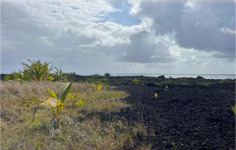 County considers buying 2,000 acres of Kapoho coastal land for preservation