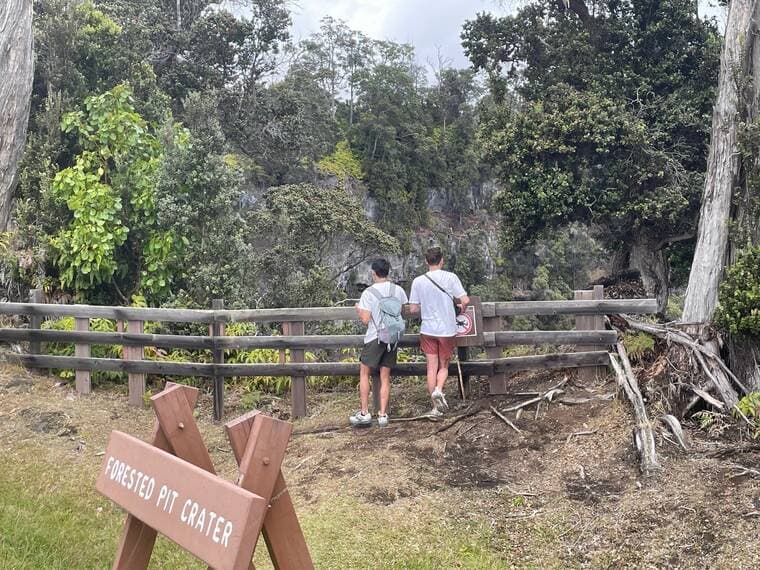 Public comment opens on future of Hawaii Volcanoes Kahuku Unit