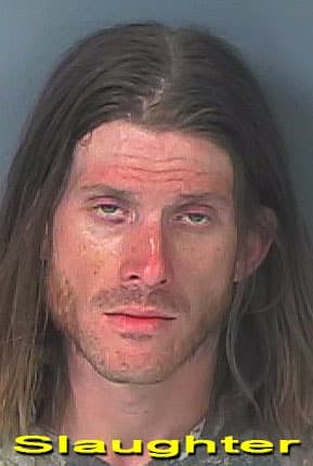 Hernando County launches Manhunt Monday for Kalen Slaughter after chase; held without bond