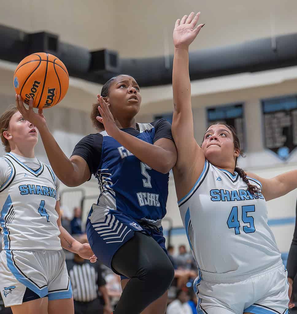 Gabby Dross Reaches 1,000 Points as Sharks Chomp Cobras in Quarterfinals