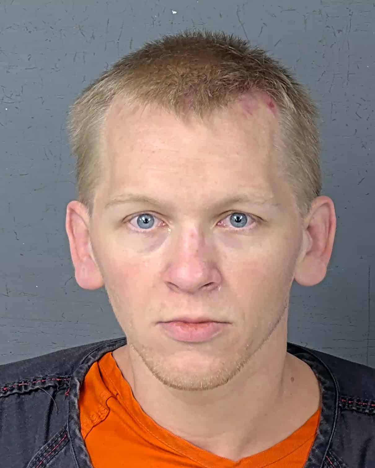 Spring Hill man gets 11 years in teen overdose ice bath tragedy