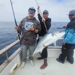 San Diego boats split time between bluefin tuna and yellowtail action