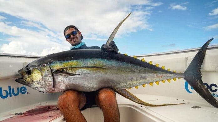 Practical Gear and Techniques Guide for Offshore Tuna Anglers