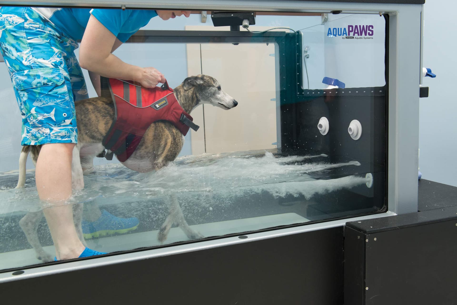 Canine Rehabilitation Institute Updates Resource Hub for Fitness and Rehab Professionals