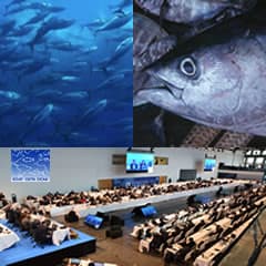 ICCAT sets early‑February tuna tagging, port inspection and late‑February SC‑STATS meetings