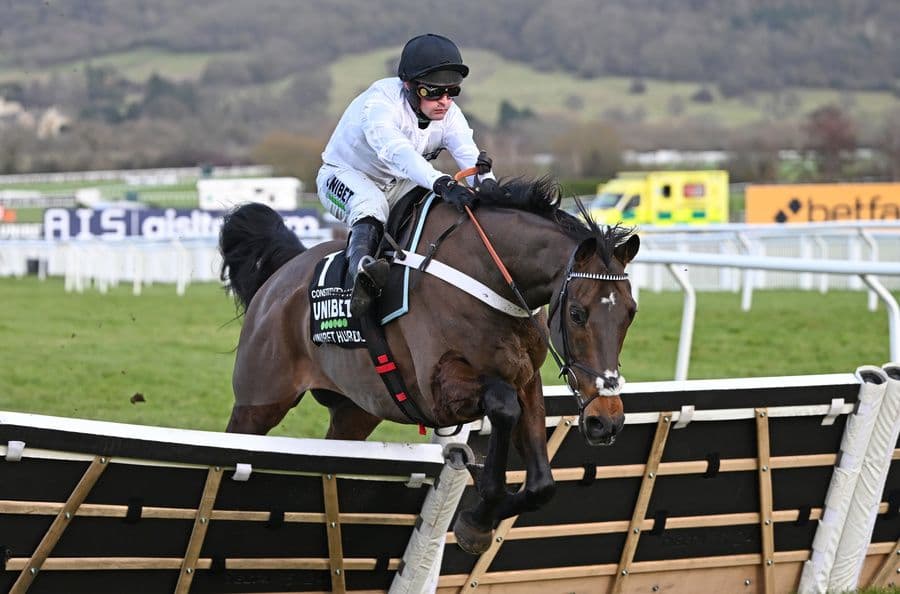 Jingko Blue Wins BetMGM Cup Handicap Hurdle at Cheltenham Festival