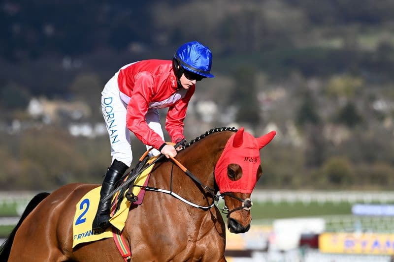 Beloved 12-Year-Old Champion Envoi Allen Dies After Cheltenham Gold Cup