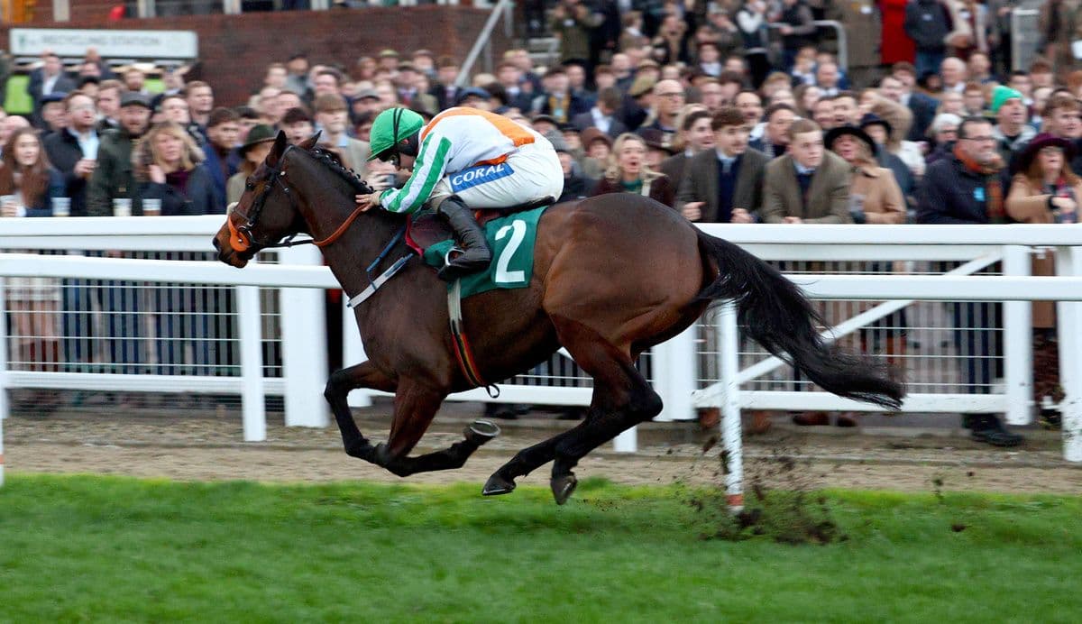 Tom Cooper: Celestial Tune Set to Shine at Dublin Racing Festival