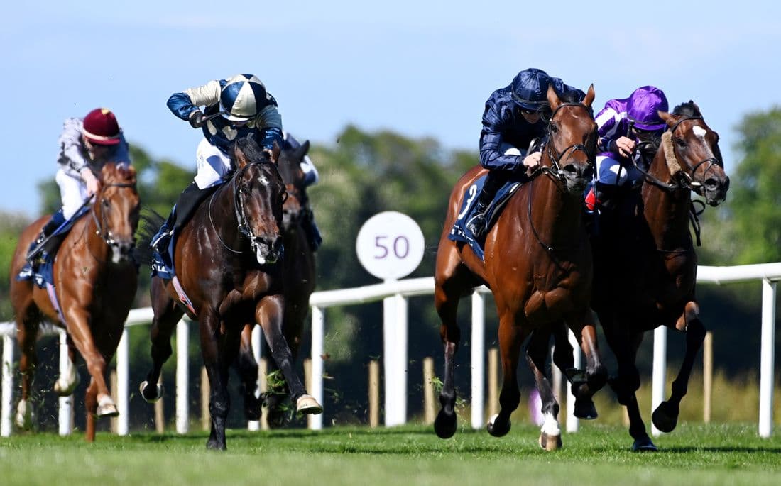 James J Braddock edges Pierre Bonnard in Leopardstown Derby Trial Stakes
