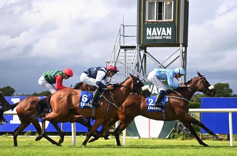 McLoughlin lands first stakes win with Duckadilly one-two at Navan